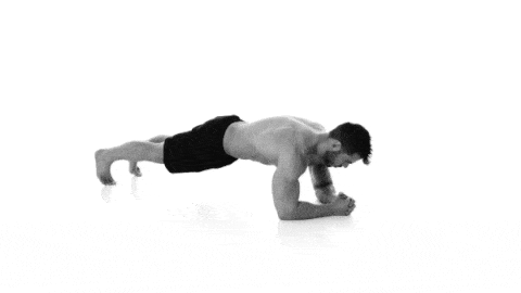 Press up, Arm, Physical fitness, Joint, Leg, Shoulder, Human body, Plank, Muscle, Exercise, 
