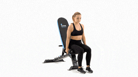seated-lateral-raise-1 alice