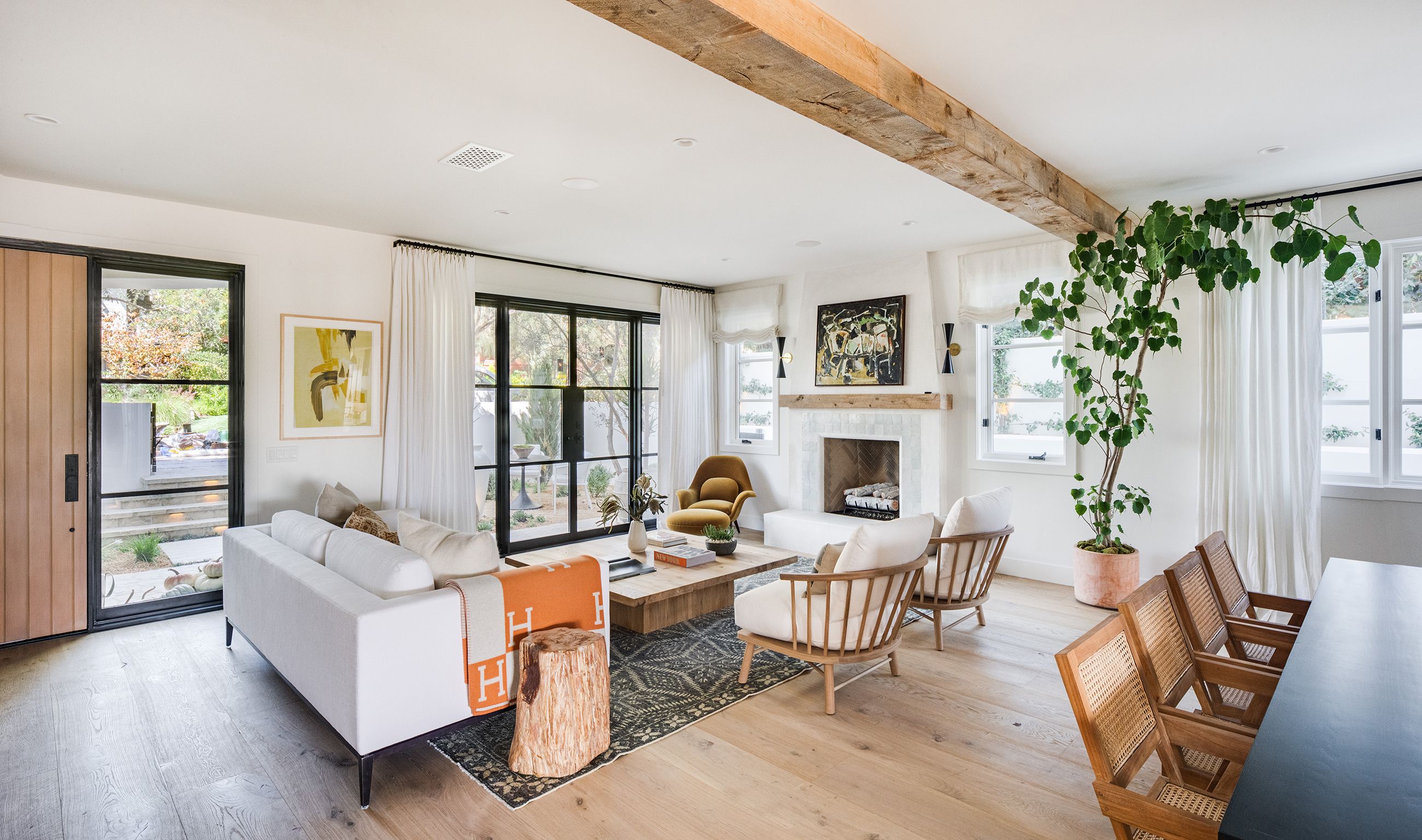 aesthetic living room with plants