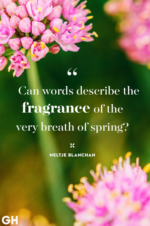 spring quotes