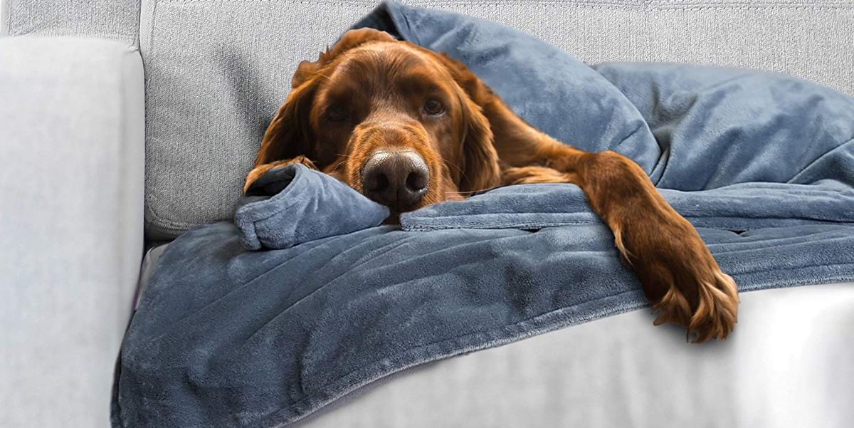 Best Weighted Blanket for Dogs on Amazon
