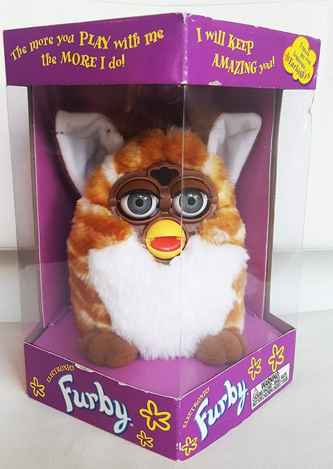 Stuffed toy, Plush, Toy, Canidae, Cat, Photo caption, 