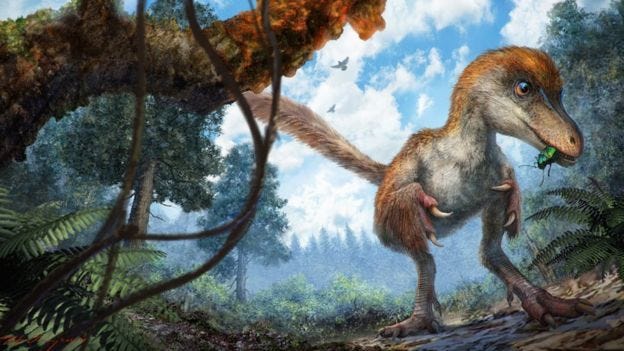 Dinosaurier, Naturlandskap, Troodon, Velociraptor, Vilda djur, Landlevande djur, Organism, Träd, Anpassning, Tyrannosaurus, 