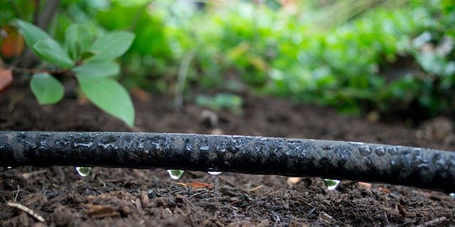How To Install A Drip Irrigation System, Dig Vegetable Garden Drip Irrigation Kit