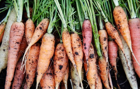 How To Grow Carrots