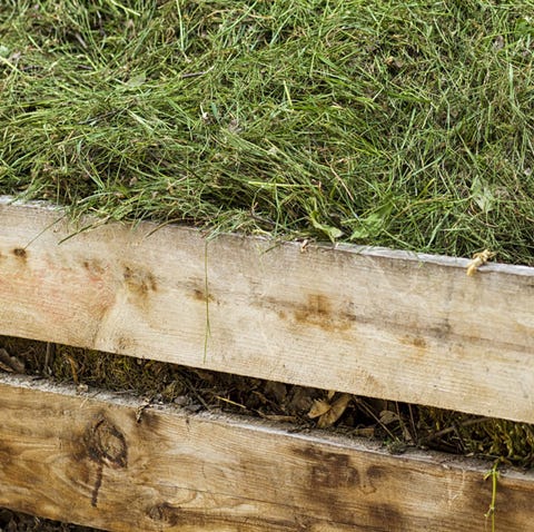 grass in the compost pile