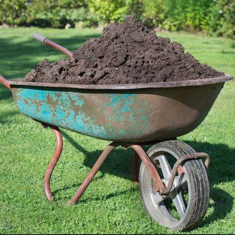 wheelbarrow of compost