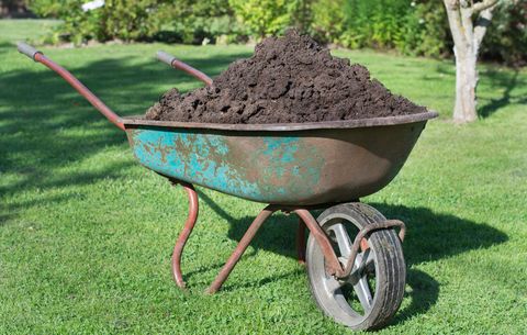 wheelbarrow of compost