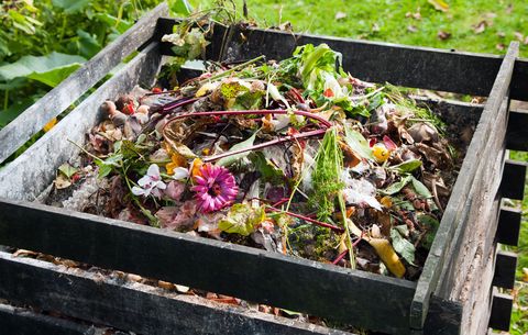 compost scraps
