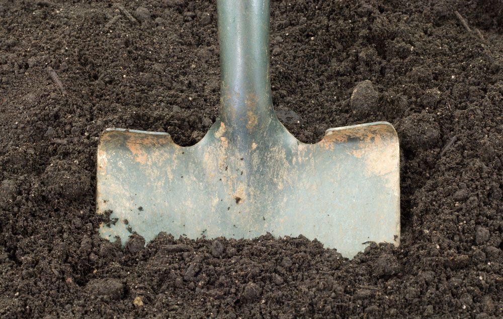 Hand Trowel Garden Mini Shovels for Digging Through Rocky/Heavy soils Work Quick 