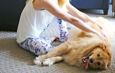 woman giving dog a massage to reduce anxiety
