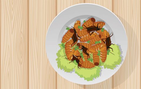 plate of roaches