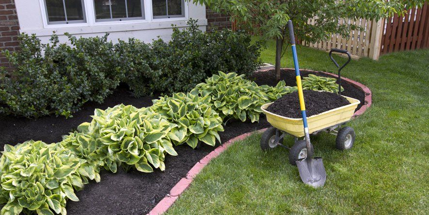 How To Mulch Your Garden 6 Kinds Of Mulch And When To Use Them