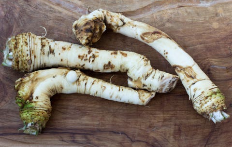 How To Grow Horseradish How To Make Homemade Horseradish Sauce