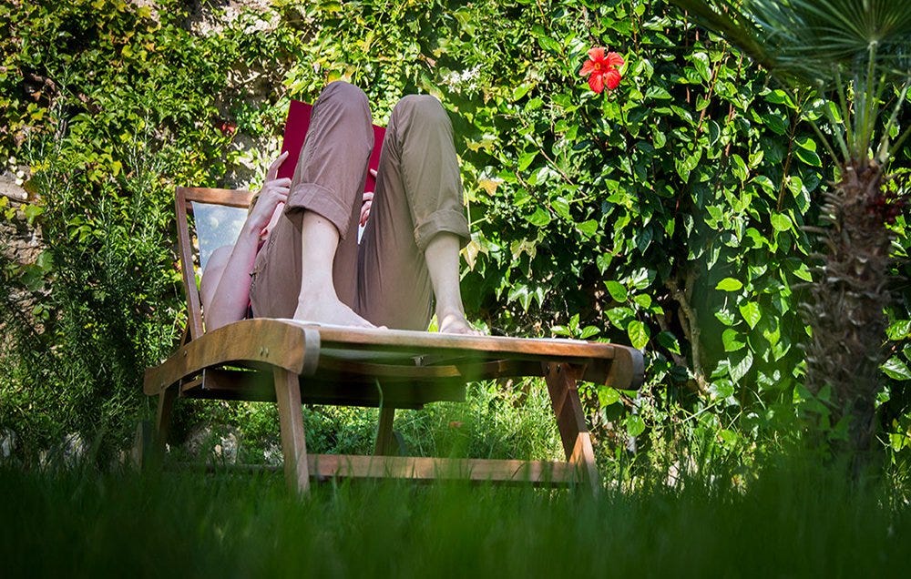 How To Get Rid Of Ticks In Yard Naturally - Compare prices & read reviews.