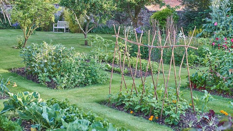 Secrets To Growing Plump Tomatoes Rodale S Organic Life 2 Rotate The Crop