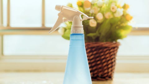 spray bottle