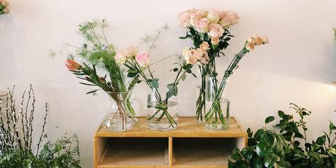 Flowerpot, Houseplant, Plant, Flower, Botany, Table, Furniture, Room, Interior design, Ikebana, 