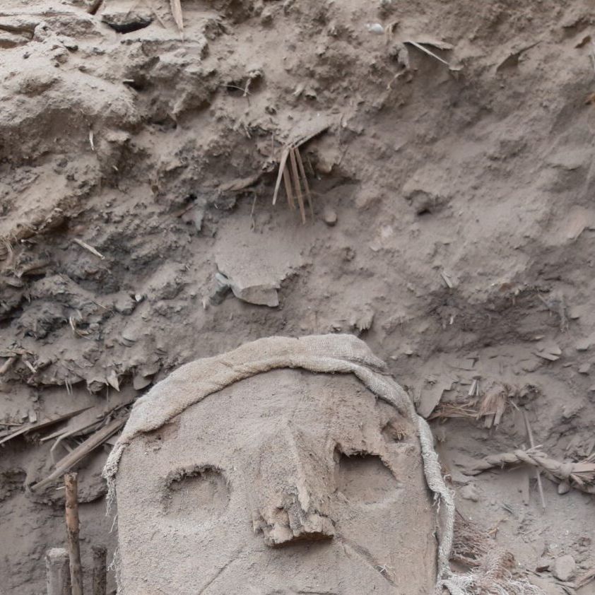 73 Ancient Mummies, With False Heads, Have Emerged in Peru