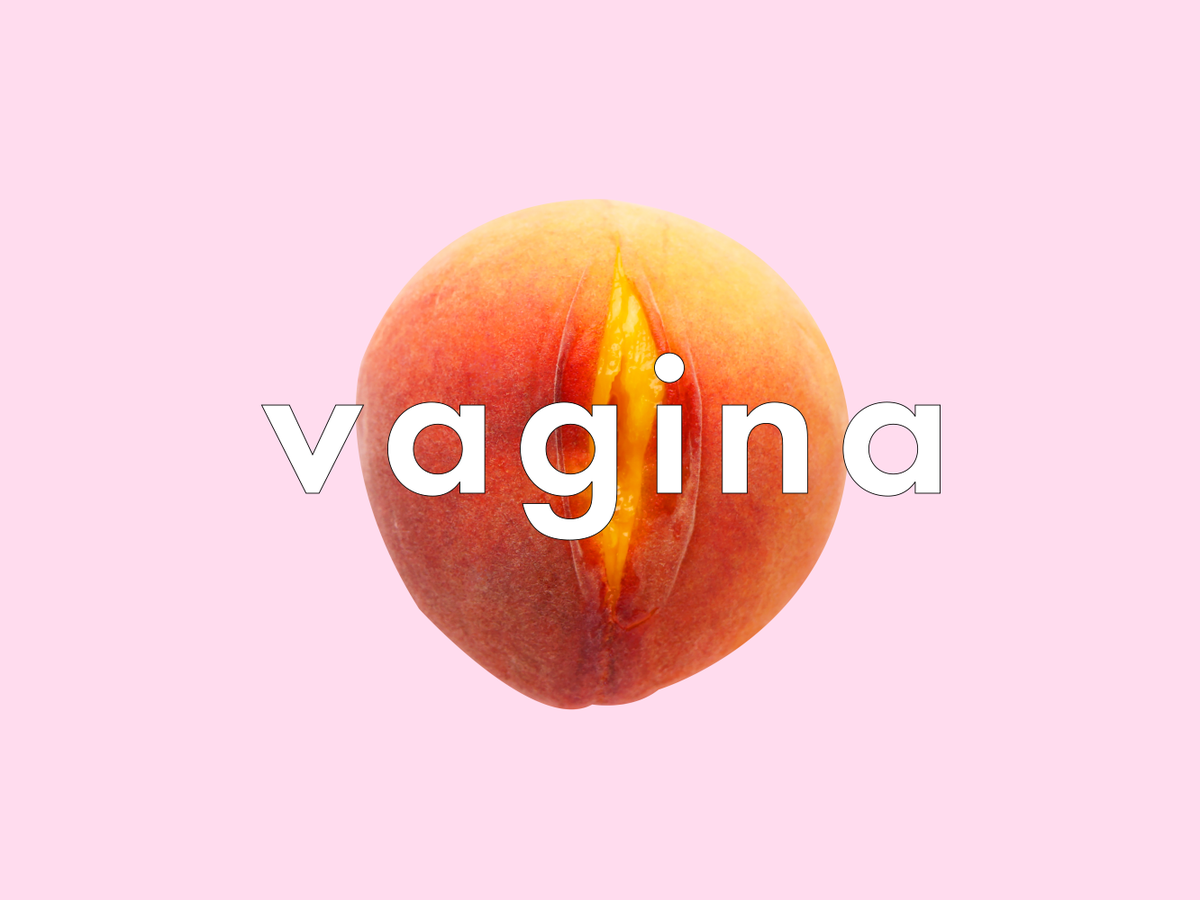 Words for vagina: the ultimate vagina slang guide