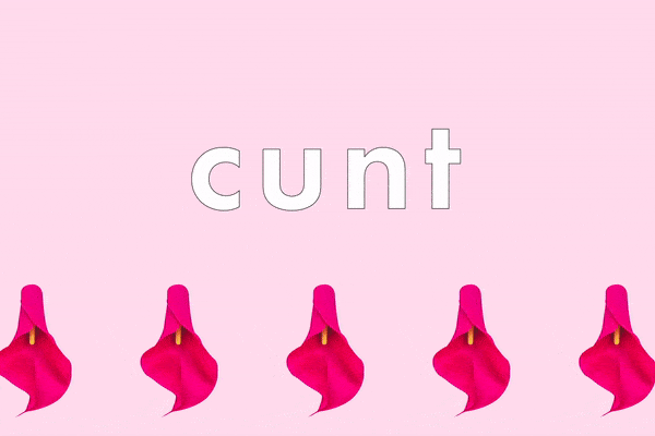 vagina shapes slangs