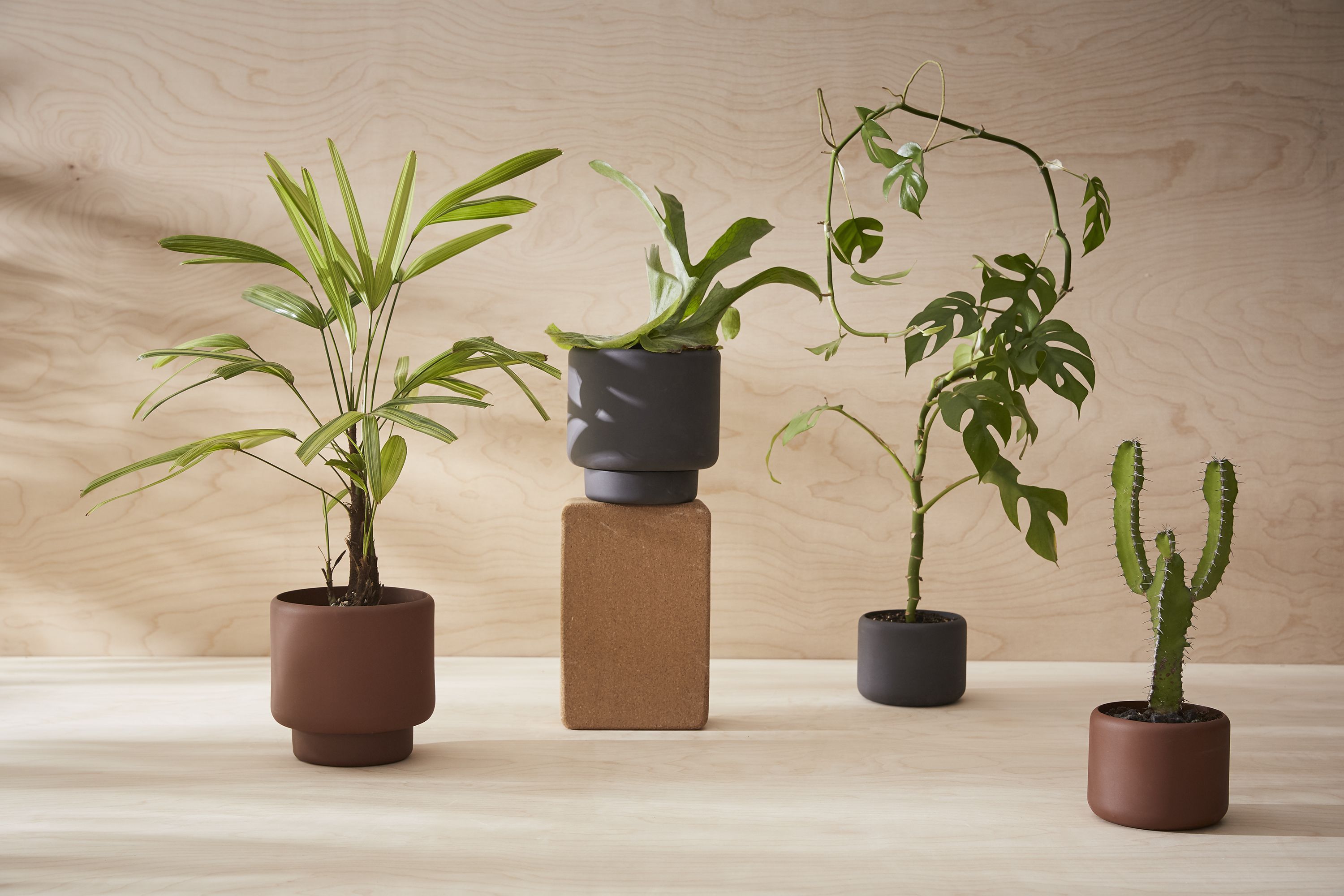 Designer garden plant pots