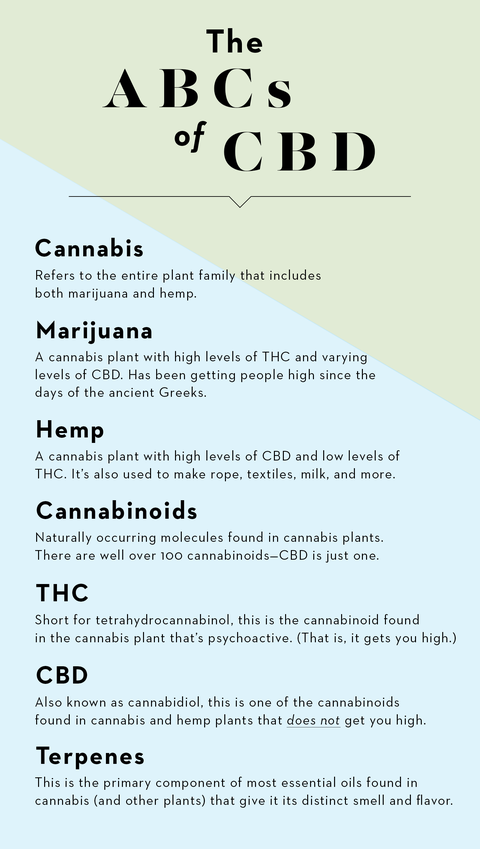CBD Oil Benefits: Cancer, Pain, Anxiety, and More
