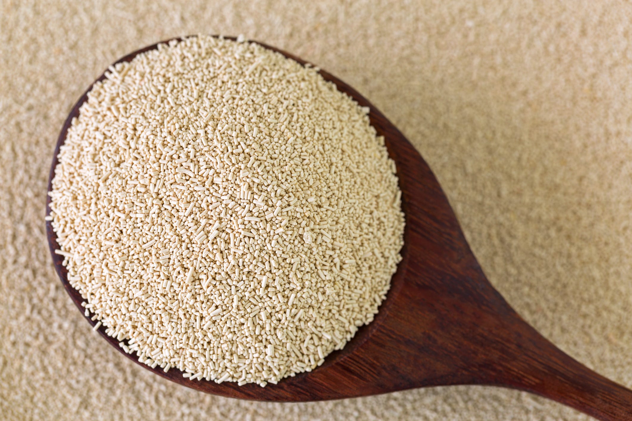 The Real Truth Behind What Sets Active Dry & Instant Yeast Apart