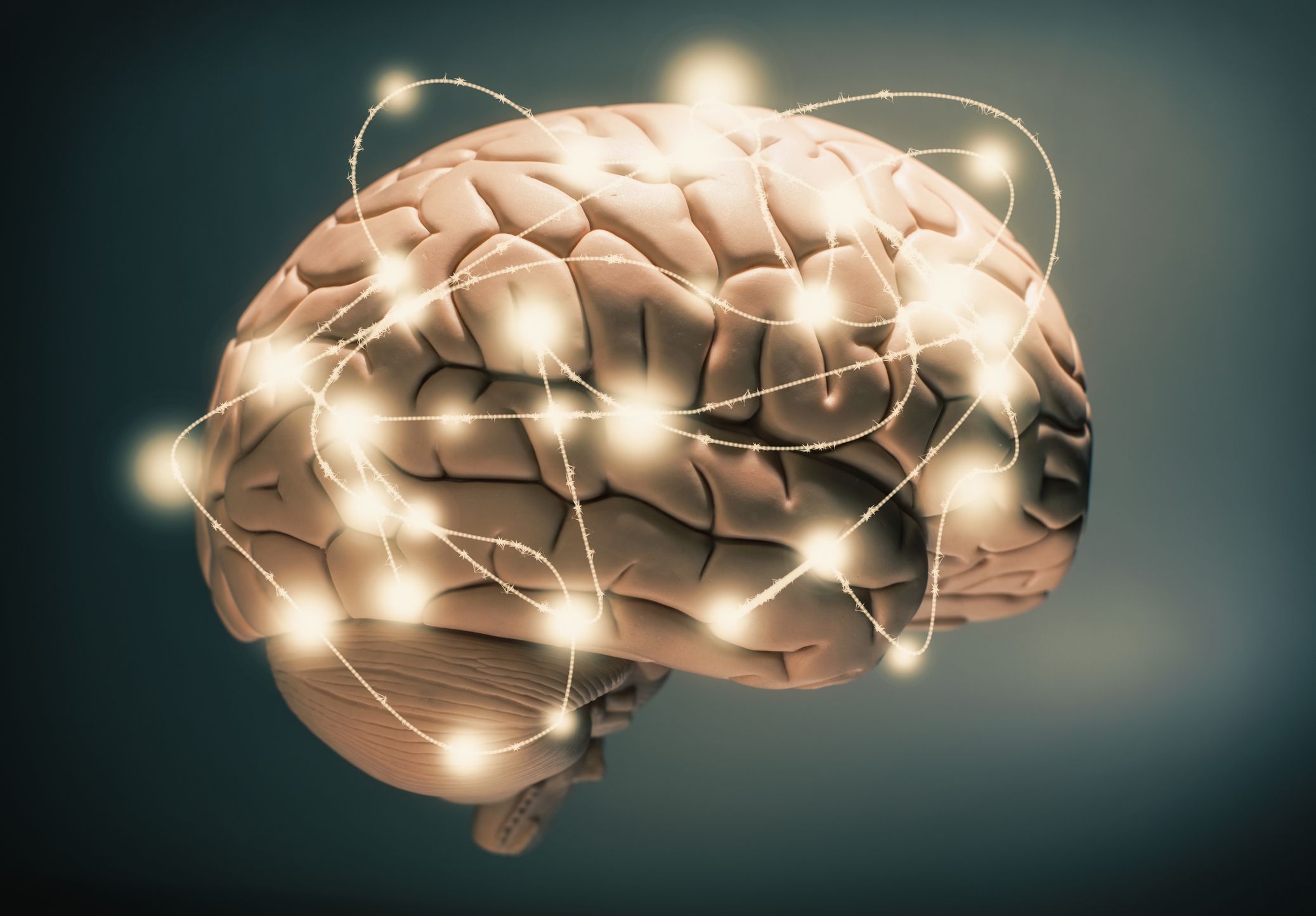 12 consejos para mantener joven tu cerebro, según Harvard 12 consejos para mantener joven tu cerebro, según Harvard