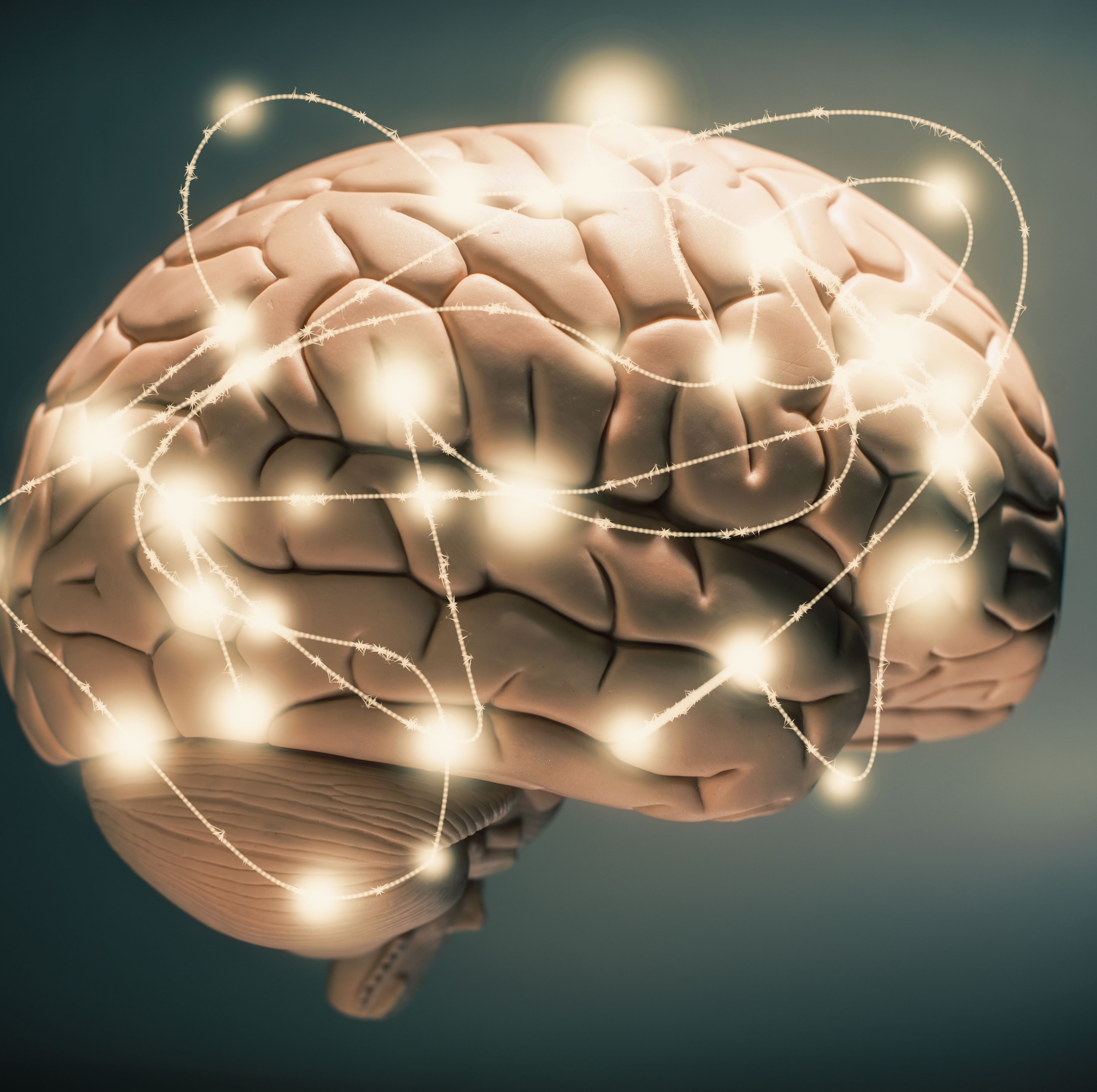 Decoding These Minds Could Reveal the Purpose of Consciousness, Scientists Say