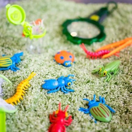 toy insects are hidden in rice in a bugthemed sensory bin