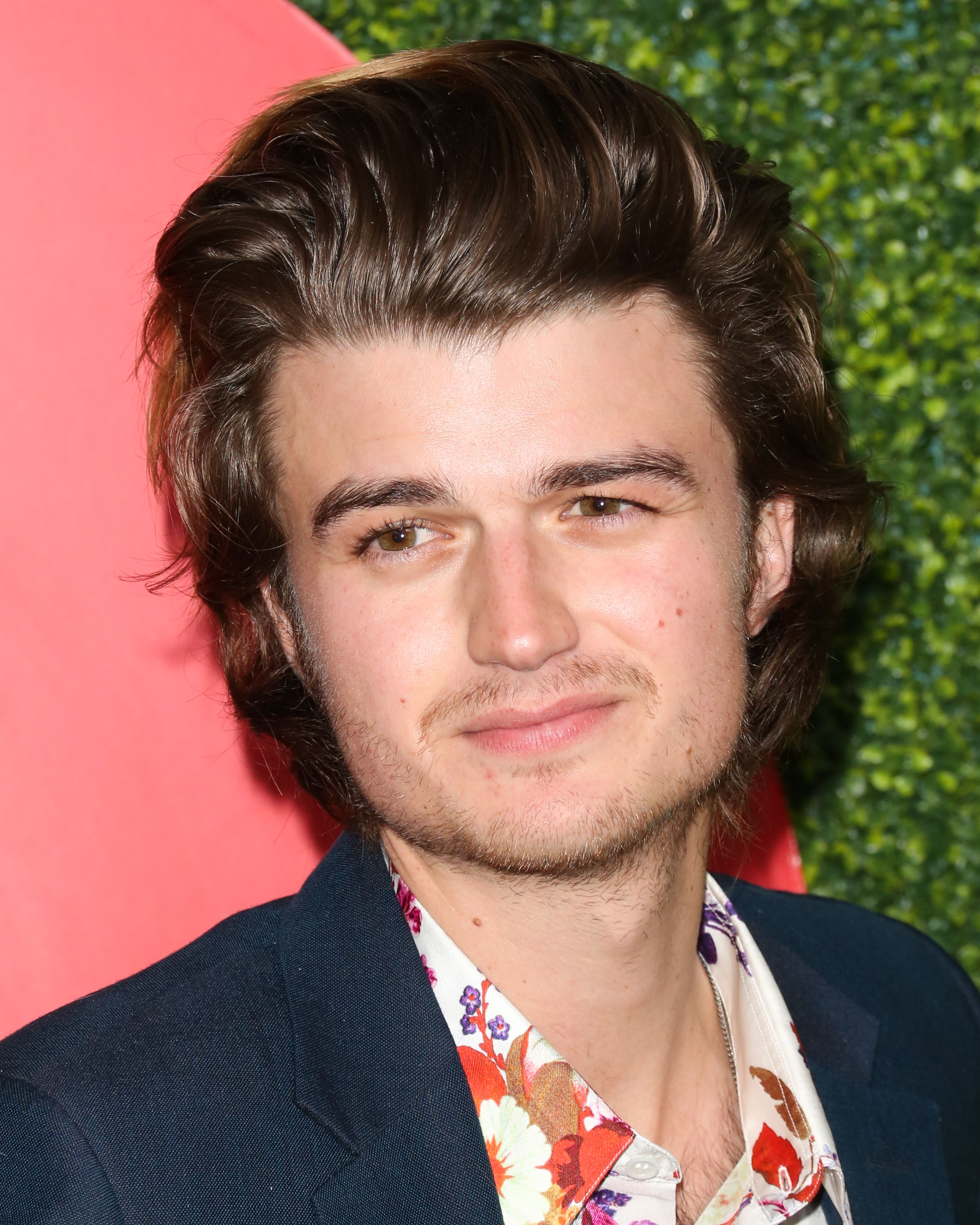 Joe Keery's Instagram, Twitter & Facebook on IDCrawl