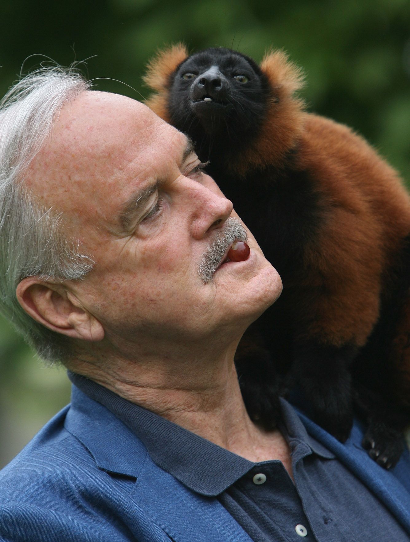 18 Animals and Plants Named After Famous People 18 Animals and Plants Named After Famous People