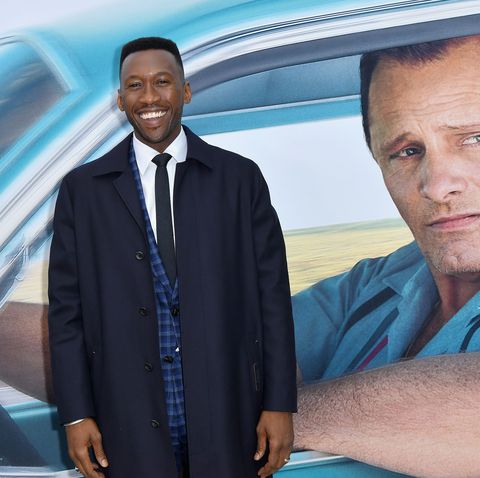 Green Book True Story What Movie Gets Wrong About Don - 