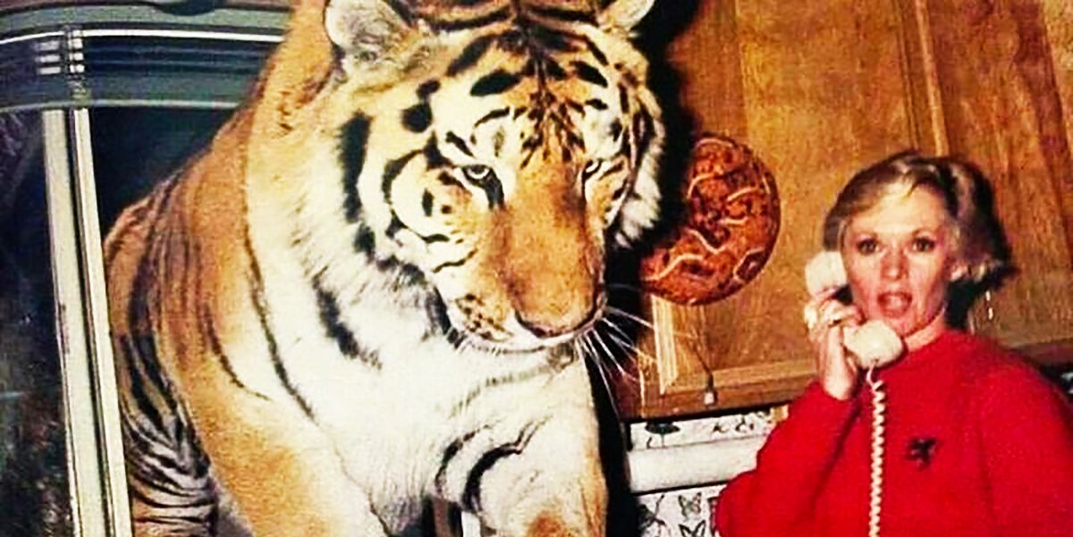 祖母はライオンと虎と暮らしている ダコタ ジョンソンが告白