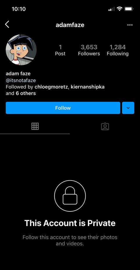 olivia rodrigo and adam faze's ig activity