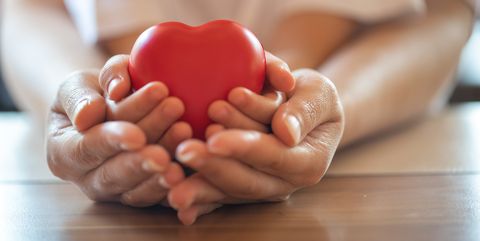 adult and child hands holding red heart, health care, donate and family insurance concept,world heart day, world health day,