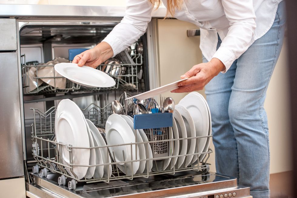 does dishwasher kill bacteria