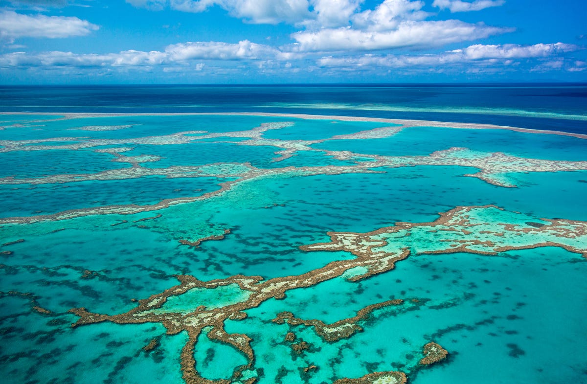 How Things Got So Bad for the Great Barrier Reef