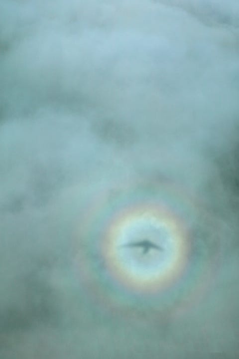 Aerial view of a shadow within a circular rainbow.