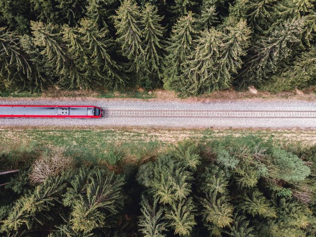 aerial view of train amidst trees