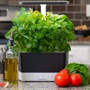 AeroGarden aerogarden