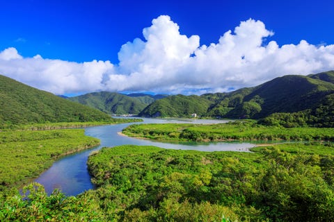 奄美大島