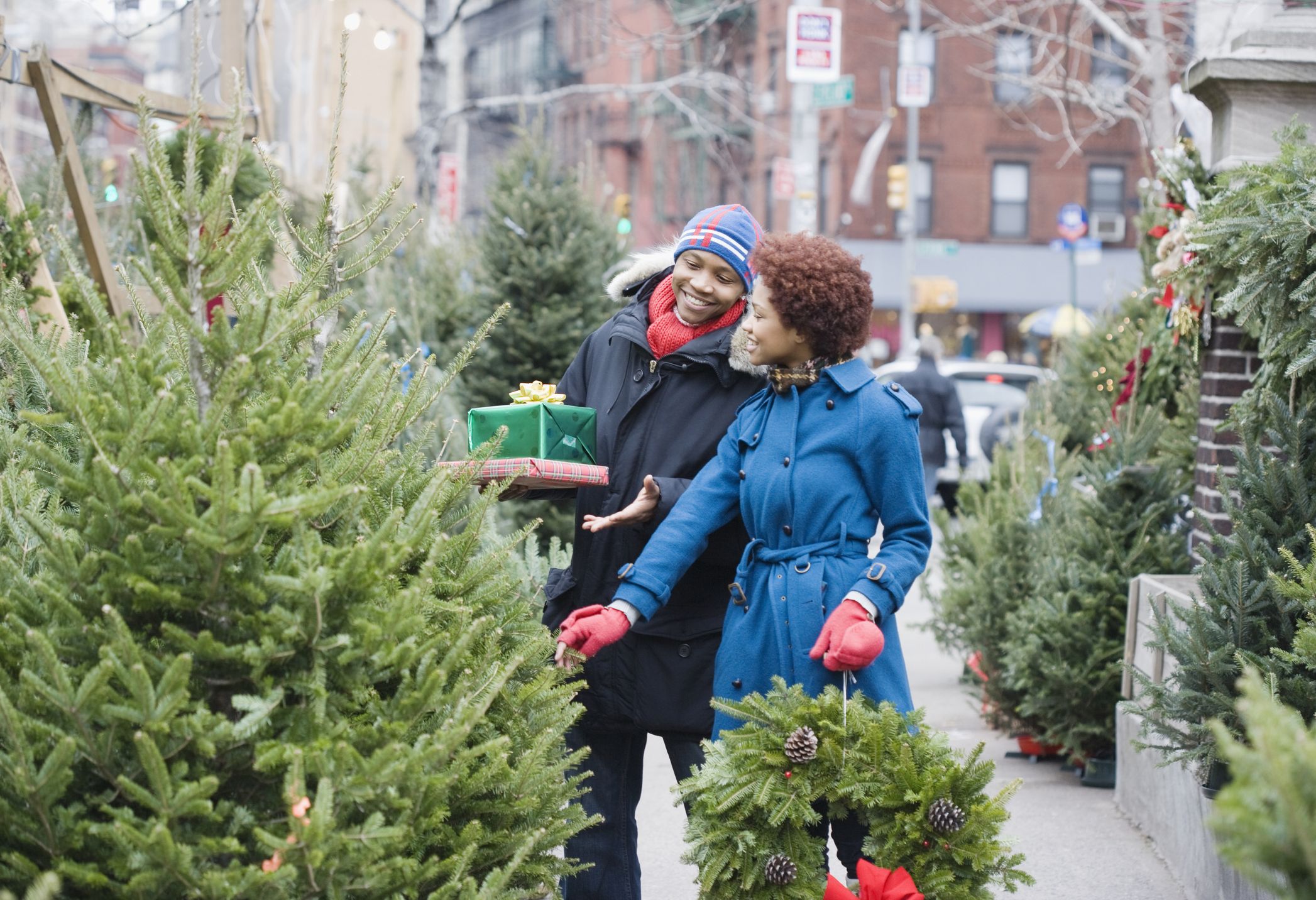 types of christmas trees