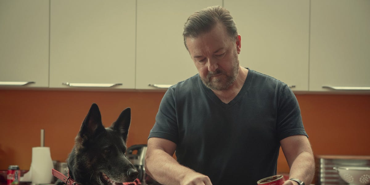After Life season 3: Ricky Gervais cast a superfan from TikTok