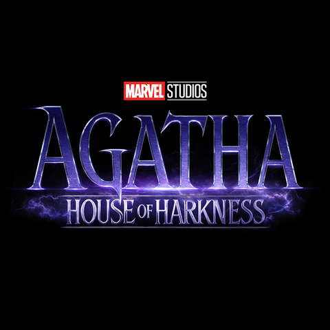 agatha house of harkness agatha house of harkness