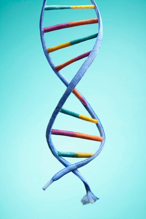 Aging dna aging dna