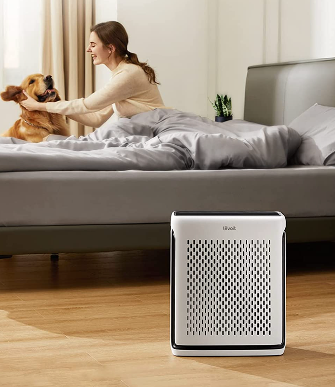 This Highly Rated Air Purifier Is Currently on Sale