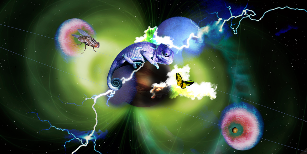 All About Air Signs, the Zodiac’s Social Smarties