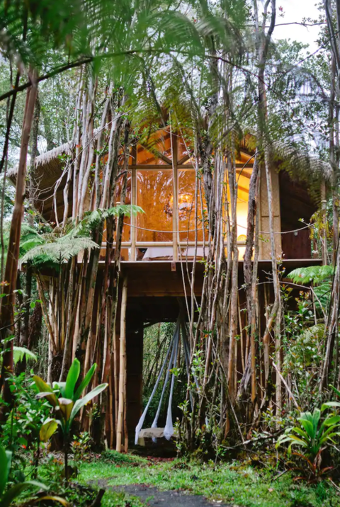treehouse airbnb near me